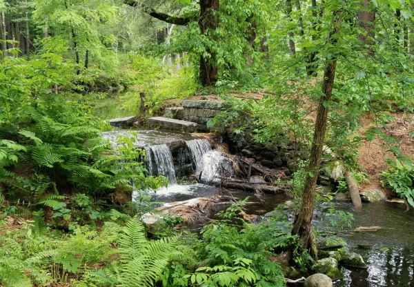 Lynde Waterfall