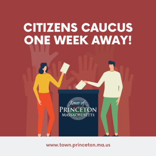 citizens caucus