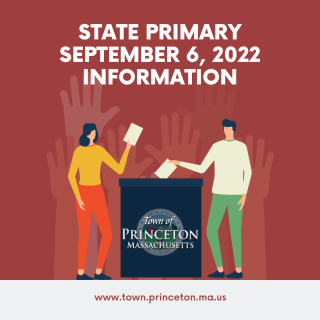 2022 State Primary