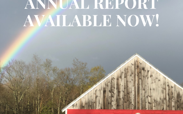 Report COVER
