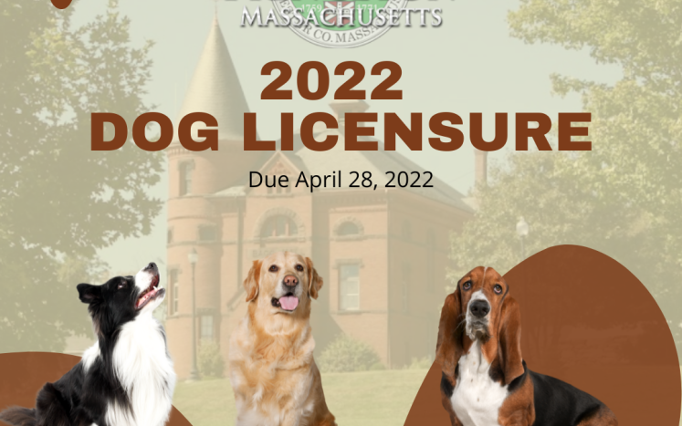 2022 Dog Licensure