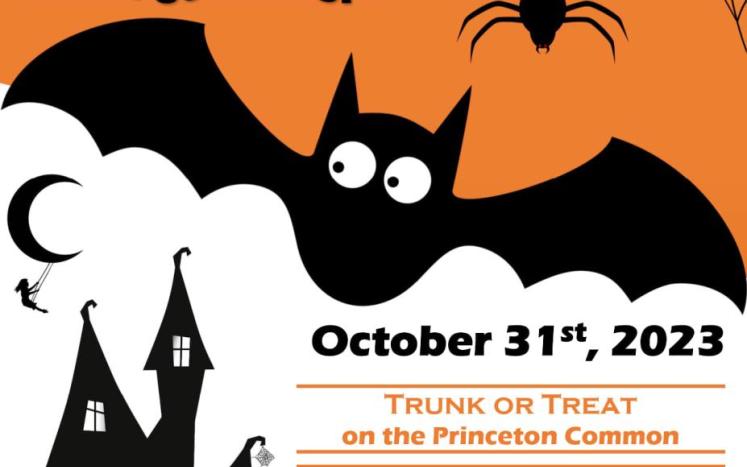 Trunk or Treat on the Princeton Common
